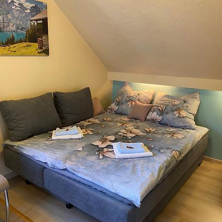 Birkenstuebchen Daire Lautenthal Dış mekan fotoğraf