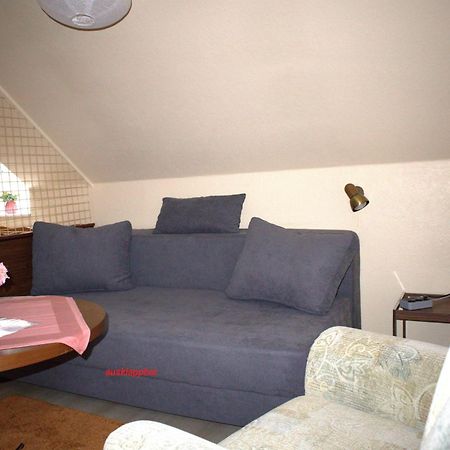 Birkenstuebchen Daire Lautenthal Dış mekan fotoğraf