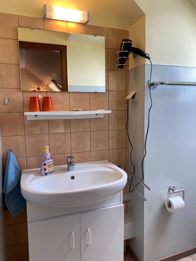 Birkenstuebchen Daire Lautenthal Dış mekan fotoğraf