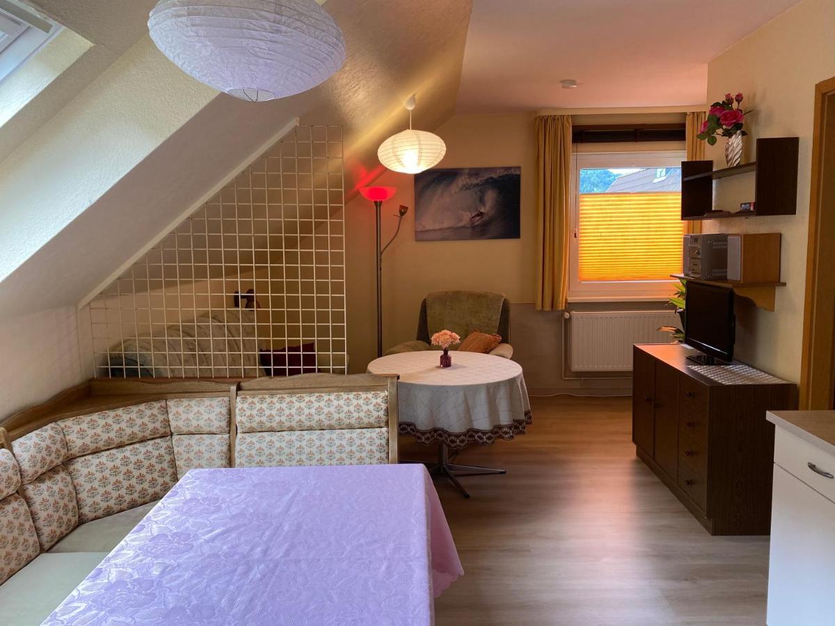 Birkenstuebchen Daire Lautenthal Dış mekan fotoğraf
