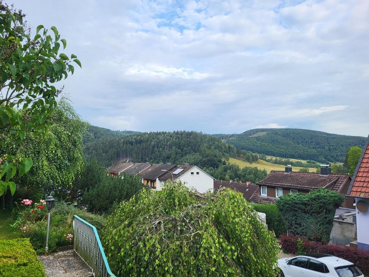 Birkenstuebchen Daire Lautenthal Dış mekan fotoğraf