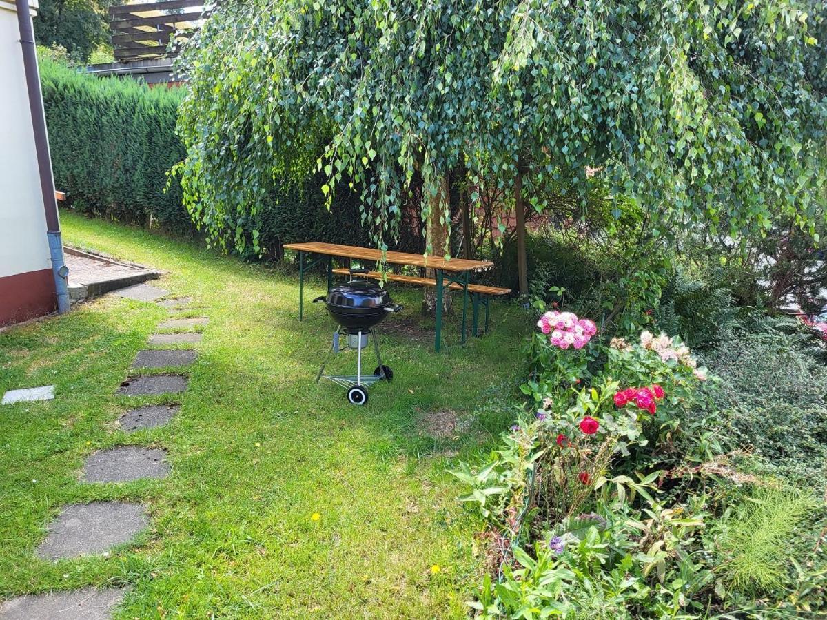 Birkenstuebchen Daire Lautenthal Dış mekan fotoğraf