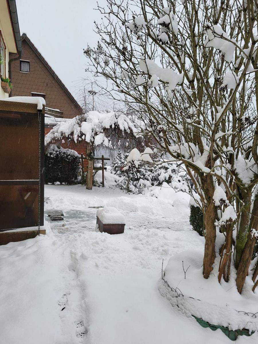 Birkenstuebchen Daire Lautenthal Dış mekan fotoğraf