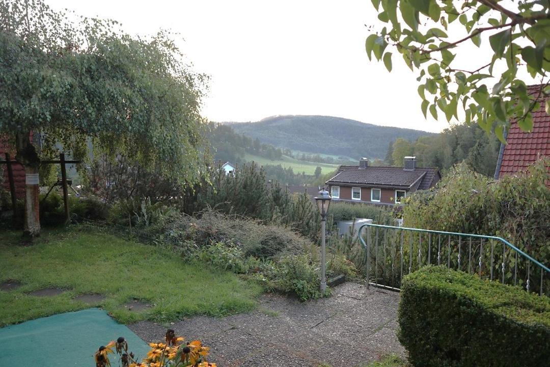 Birkenstuebchen Daire Lautenthal Dış mekan fotoğraf