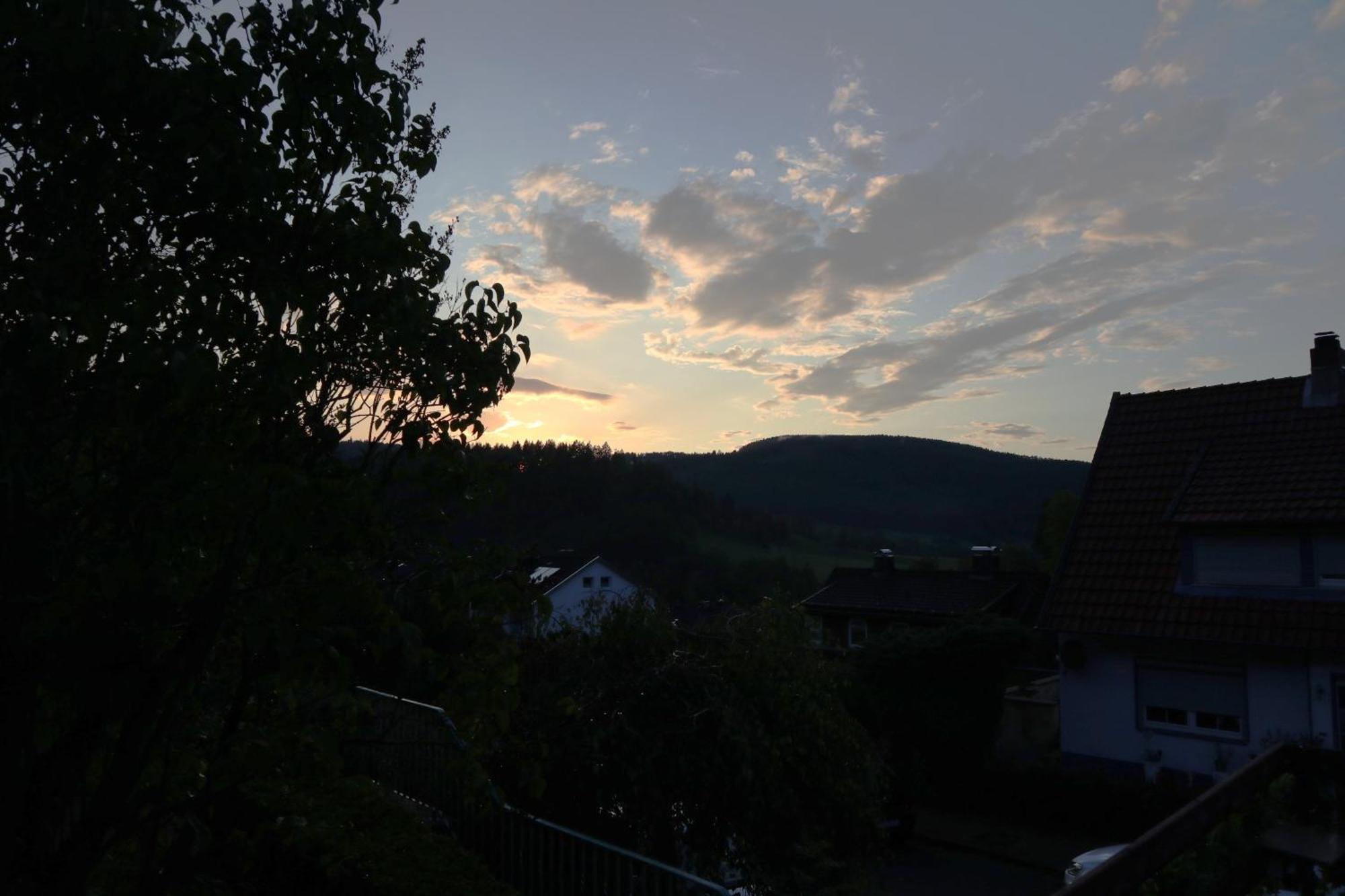 Birkenstuebchen Daire Lautenthal Dış mekan fotoğraf