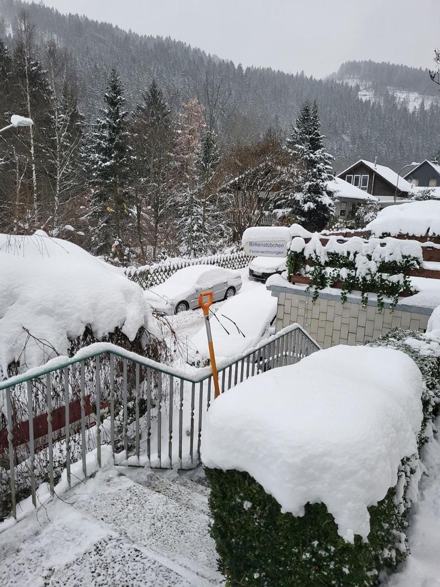 Birkenstuebchen Daire Lautenthal Dış mekan fotoğraf