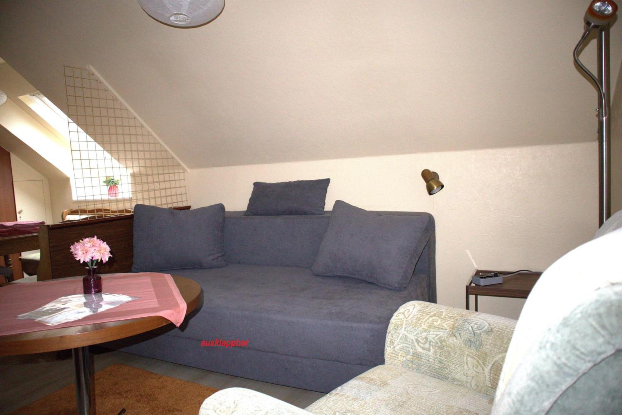 Birkenstuebchen Daire Lautenthal Dış mekan fotoğraf